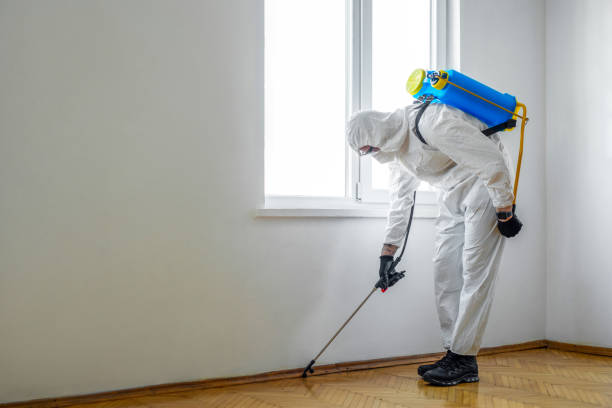 Pest Prevention Services in Cherry Valley, IL