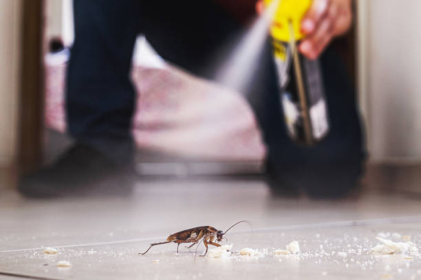 Reliable Cherry Valley, IL Pest Control Solutions